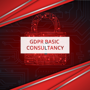 GDPR BASIC CONSULTANCY